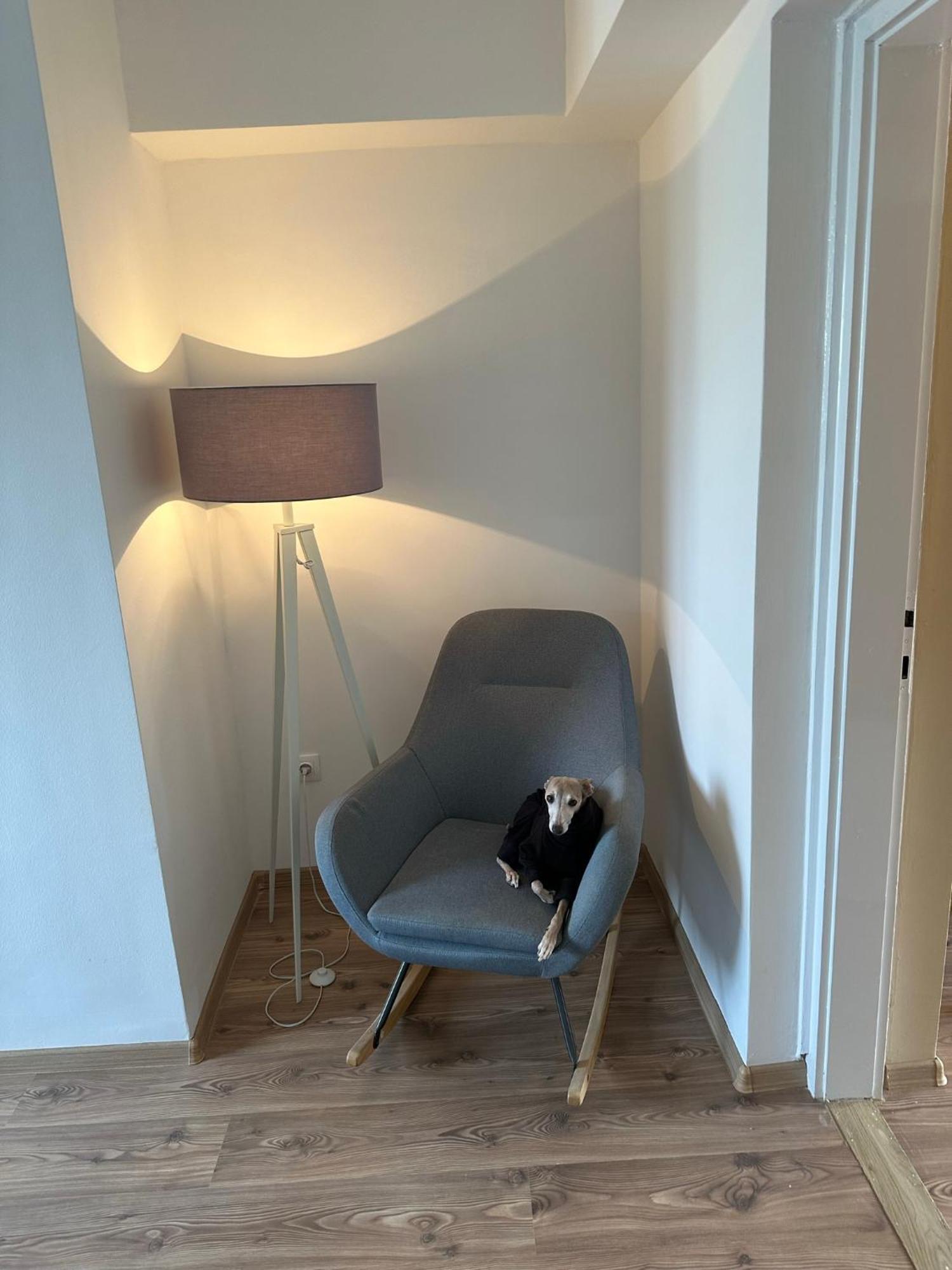 Home Sweet Apartment Xl Buk Luaran gambar